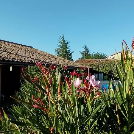 Les Fleurs Du Appartement Ruoms